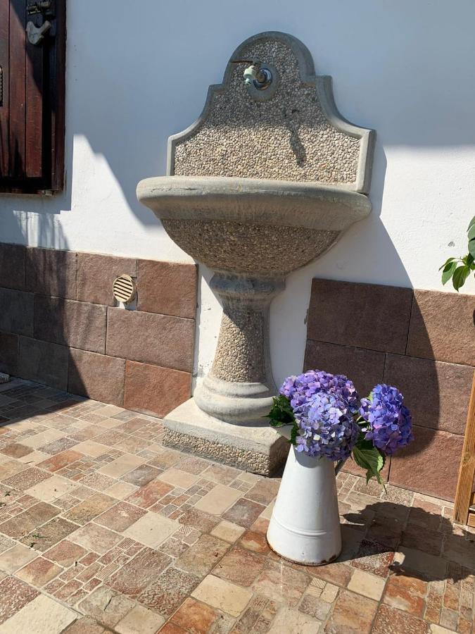 Maison Diletta Castelletto sopra Ticino Exteriér fotografie